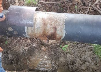 Ruddells Water pipe Whangarei
